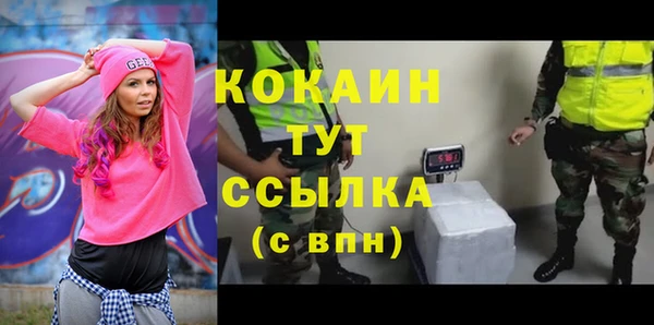 индика Верея