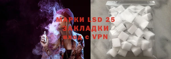 индика Верея