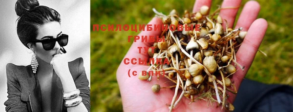 индика Верея