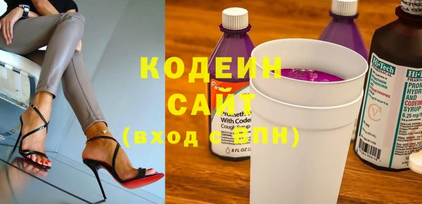 индика Верея