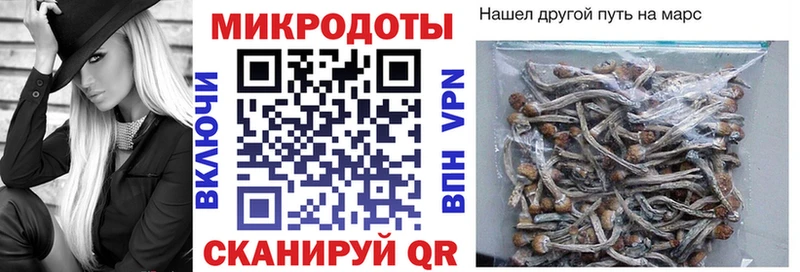 сколько стоит  Гаджиево  OMG сайт  Галлюциногенные грибы Psilocybine cubensis 