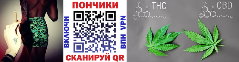 Конопля семена Гаджиево
